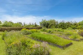 Middle RoadImage 69