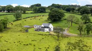 12 Old Ballynoe RoadImage 43