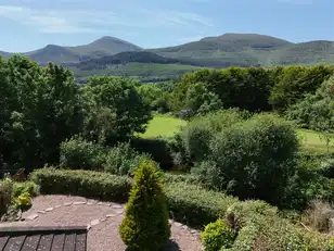 14 Rathcillan WoodImage 16