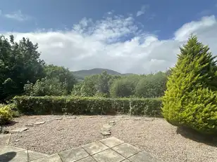 14 Rathcillan WoodImage 15