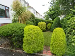 48 Pines ParkImage 2
