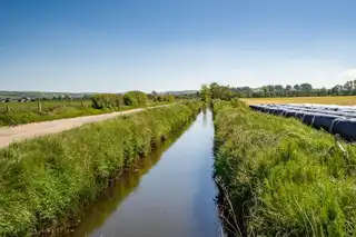 The Eglinton EstateImage 12