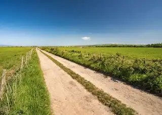 The Eglinton EstateImage 13