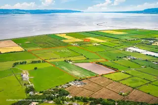 The Eglinton EstateImage 17