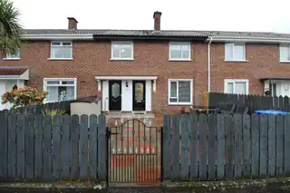 18 Knock GreenImage 2