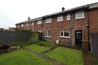 18 Knock GreenImage 18