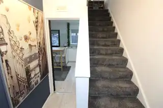 18 Knock GreenImage 5