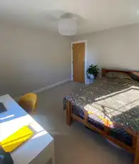 103 Millreagh AvenueImage 16