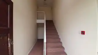 3 PinetreesImage 4