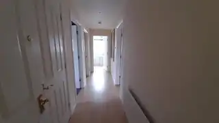 3 PinetreesImage 5