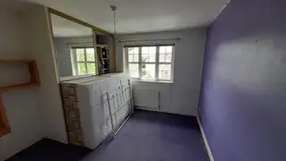 3 PinetreesImage 11