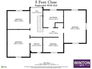 5 Fern CloseImage 43