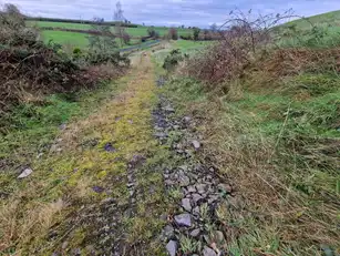 Cavanaghlough GlebeImage 11