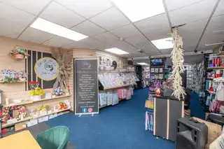 243 Shankill RoadImage 5